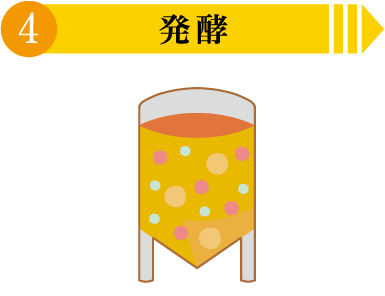 4.発酵