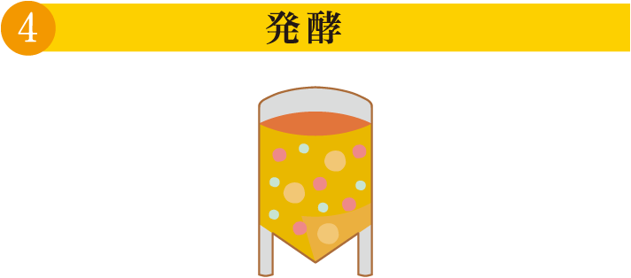 4.発酵